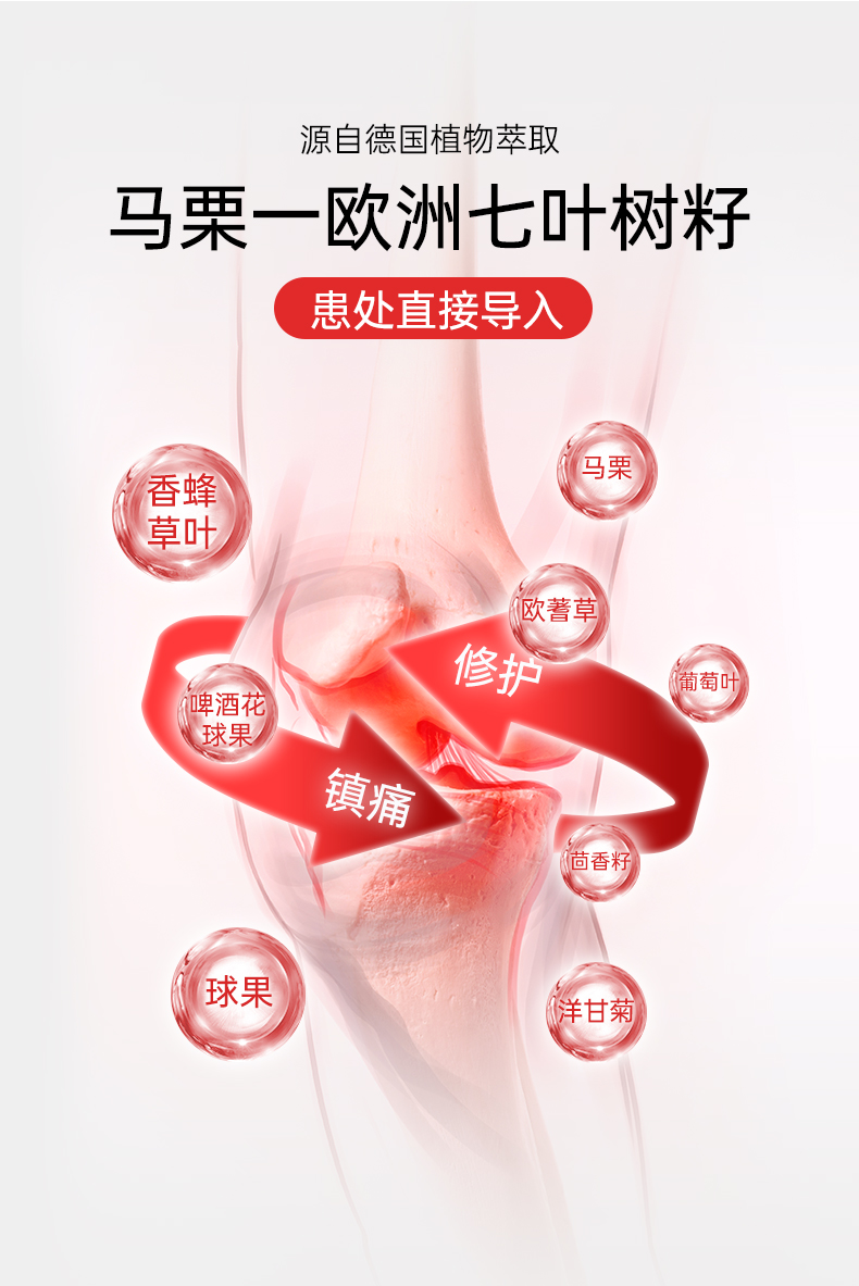 德国七叶庄园马栗乐按摩凝胶的功效7.jpg